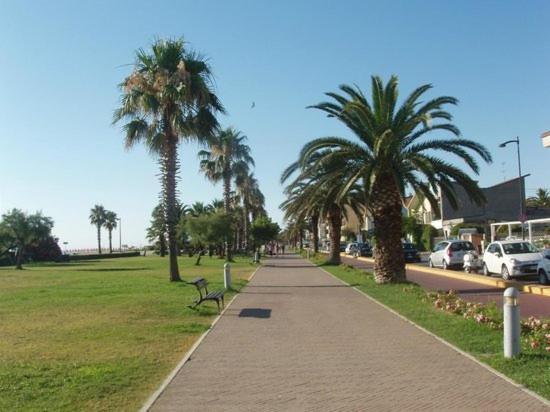 La Conchiglia Porto SantʼElpidio Exterior foto